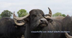 Hofladen Ahlden