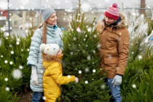 Weihnachtsbäume Ahlden
