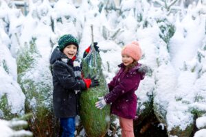 Weihnachtsbäume Ahlden