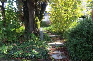 Gartenbau Baienfurt
