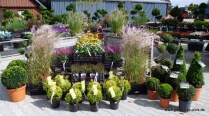 Gartencenter Bersenbrück
