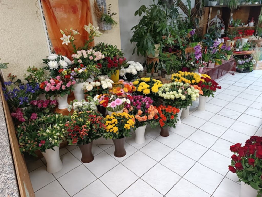 Blumenshop Demmin Blumenshop Demmin