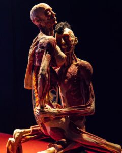 Plastinarium Guben