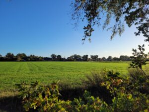 Streekermoor