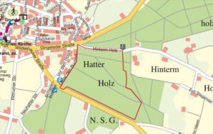 Wanderweg 15 Hatter Holz