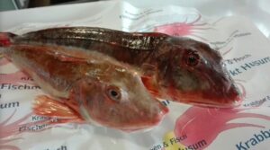 Fischmarkt Husum am Kutterhafen