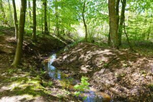 Mauseberge