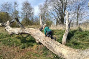 Naturerlebnisraum Mühlenau