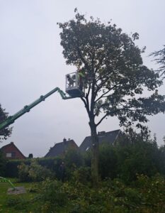 Baumarbeiten Husum
