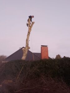Baumarbeiten Husum