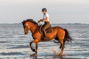 Fotograf Husum