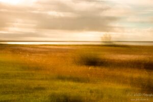 Fotograf Husum