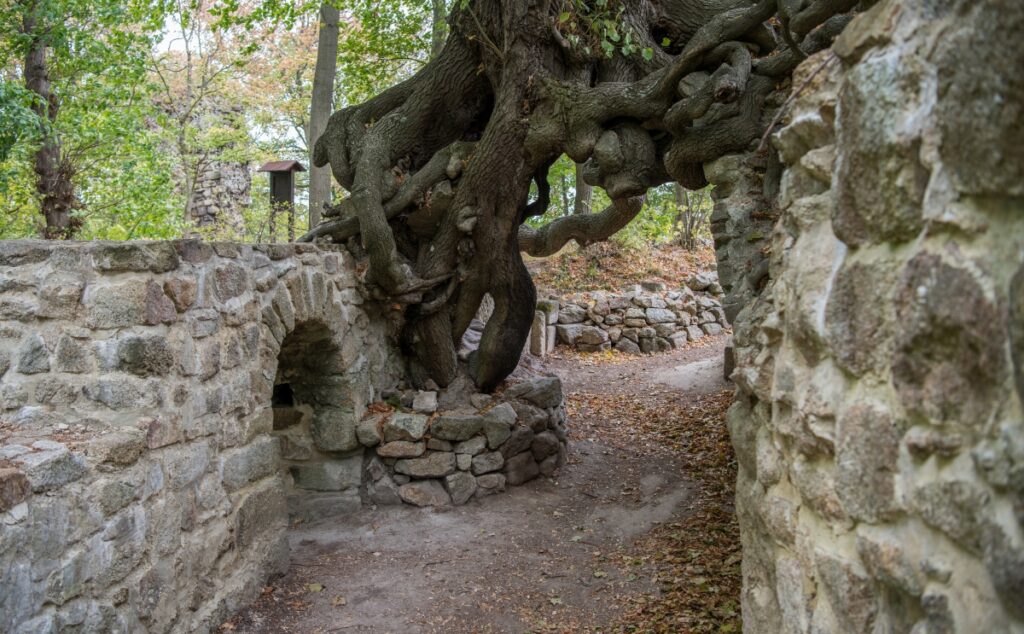 Sehenswürdigkeiten Lauenburg