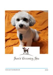 Hundefriseur Loxstedt - Sams Grooming Spa