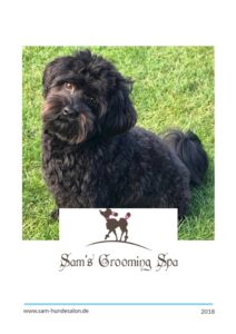 Hundefriseur Loxstedt - Sams Grooming Spa
