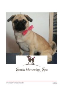 Hundefriseur Loxstedt - Sams Grooming Spa