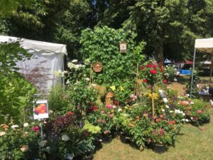 Gartencenter Massing