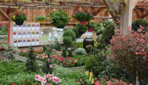 Gartencenter Massing