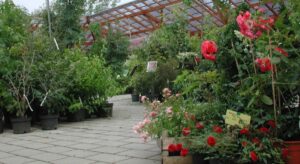 Gartencenter Massing