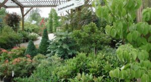 Gartencenter Massing