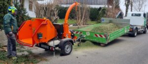 Blumengeschäft Massing