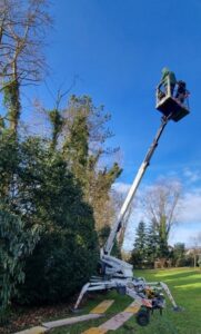 Blumengeschäft Massing