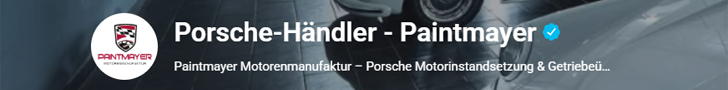 Porsche Motorinstandsetzung
