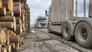 Transportunternehmen Musterstadt