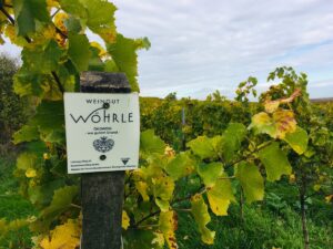 Weinkellerei Musterstadt