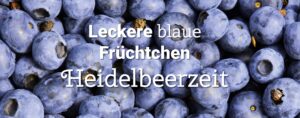 Selbsternte Oberkrämer