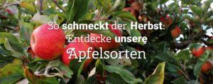Selbsternte Oberkrämer