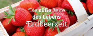 Selbsternte Oberkrämer
