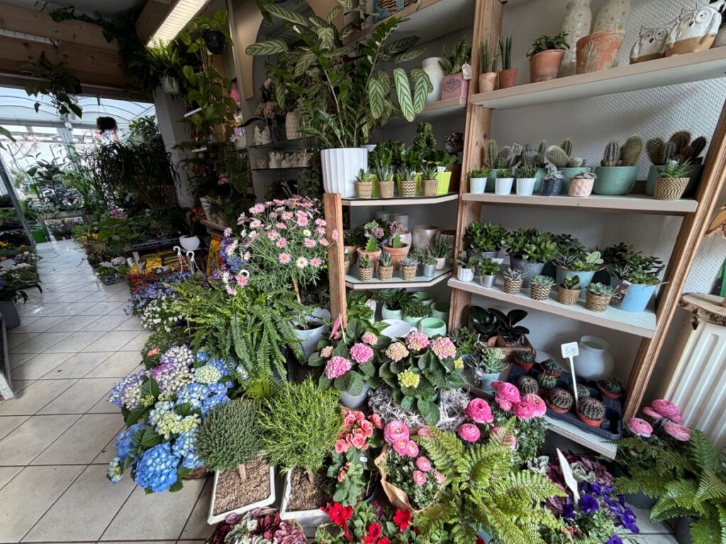 Gartenbau Parchim Gartenbau Parchim