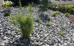 Gartenbauer Puderbach