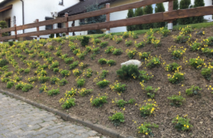 Gartenbauer Puderbach