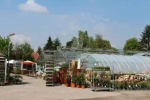 Blumen Sander - Gärtnerei Groß Eicklingen