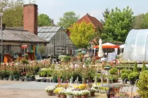 Blumen Sander - Gärtnerei Groß Eicklingen