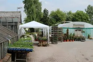 Blumen Sander - Gärtnerei Groß Eicklingen