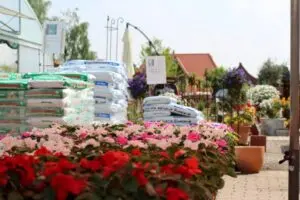 Blumen Sander - Gärtnerei Groß Eicklingen