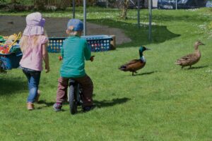 Kindertageseinrichtung Alberweiler