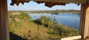Erholungsgebiet Silbersee Wehdel