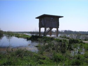 Polder Glies