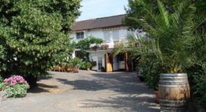 Weinkellerei Leiningerland