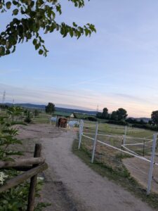 Pferdepension Leiningerland