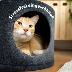 Heimtierbedarf Weißwasser – Fressnapf Heimtierbedarf Weißwasser - Fressnapf