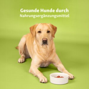 Heimtierbedarf Weißwasser – Fressnapf Heimtierbedarf Weißwasser - Fressnapf