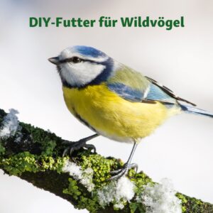 Heimtierbedarf Weißwasser – Fressnapf Heimtierbedarf Weißwasser - Fressnapf