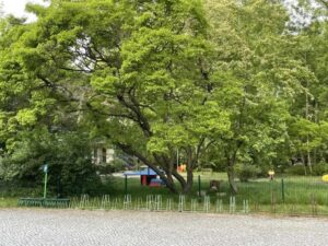 Kindertagesstätte Ulja Kindertagesstätte Ulja