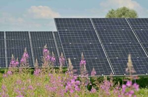 Solarenergie Weißwasser - Solar Projekt Lausitz