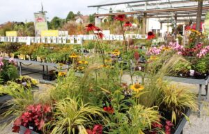 Gartencenter Willmering
